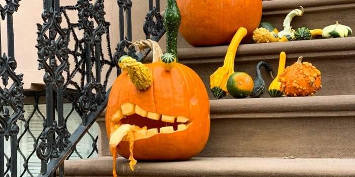 Vivre Halloween à New-York en famille dans un quartier de Brooklyn