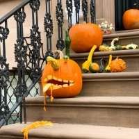 Vivre Halloween à New-York en famille dans un quartier de Brooklyn