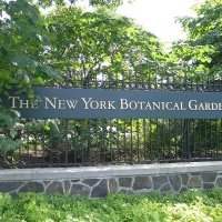 Visite du Botanical Garden et de l'exposition Chihuly