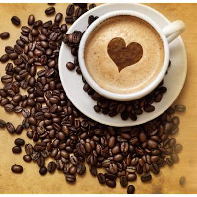 Café des nouveaux membres