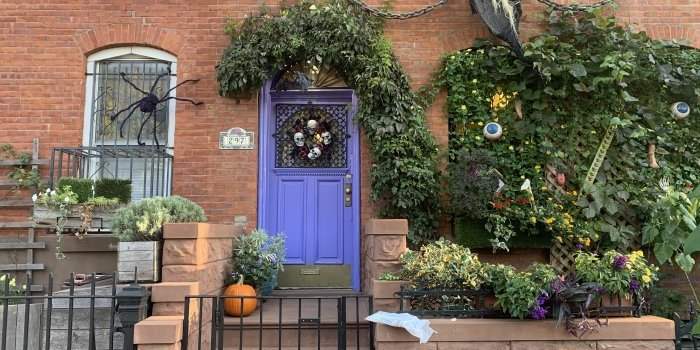 Visite guidée Carroll Gardens